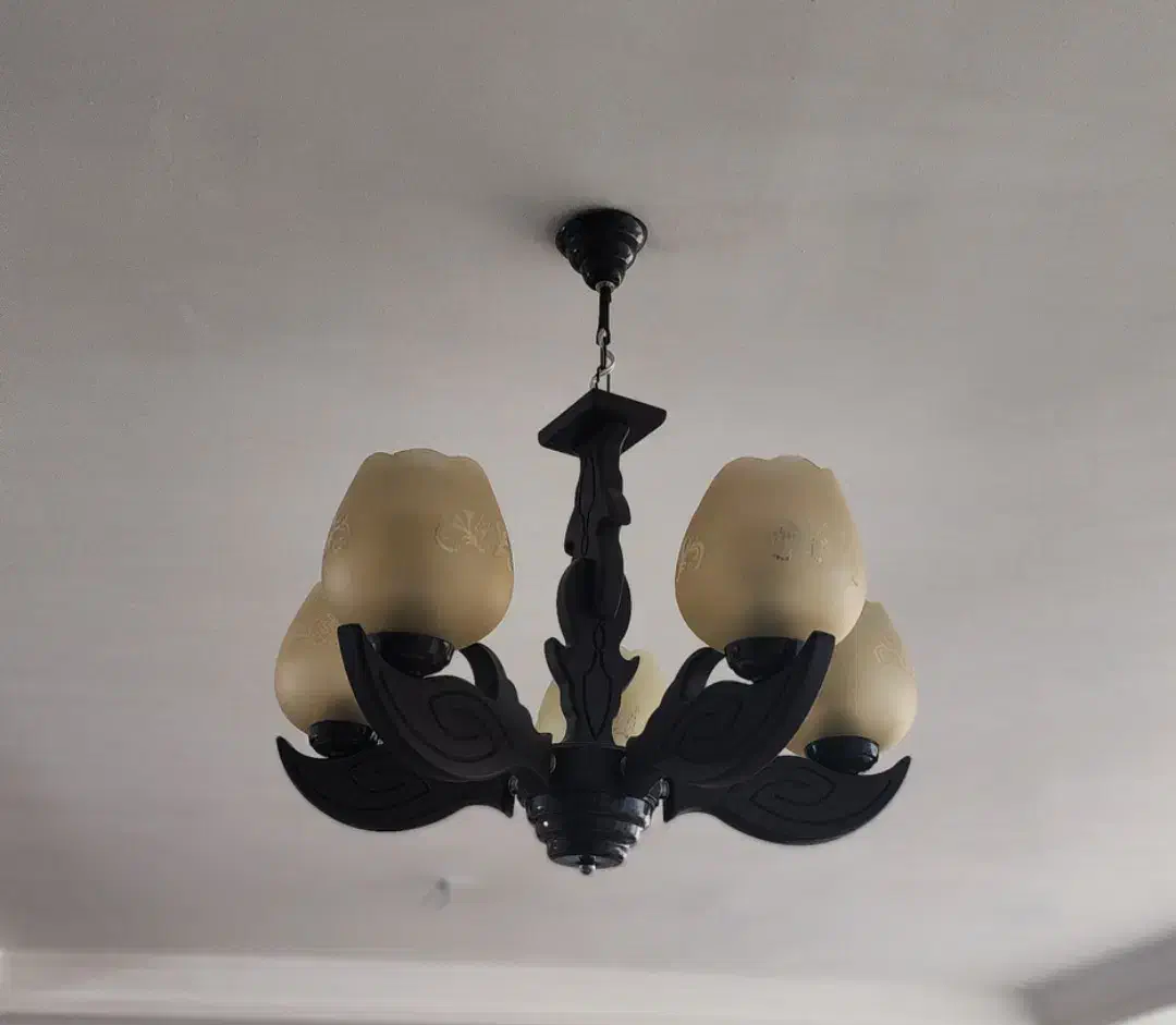 لوستر پنج شاخه|لوستر و چراغ آویز|بوشهر, |دیوار