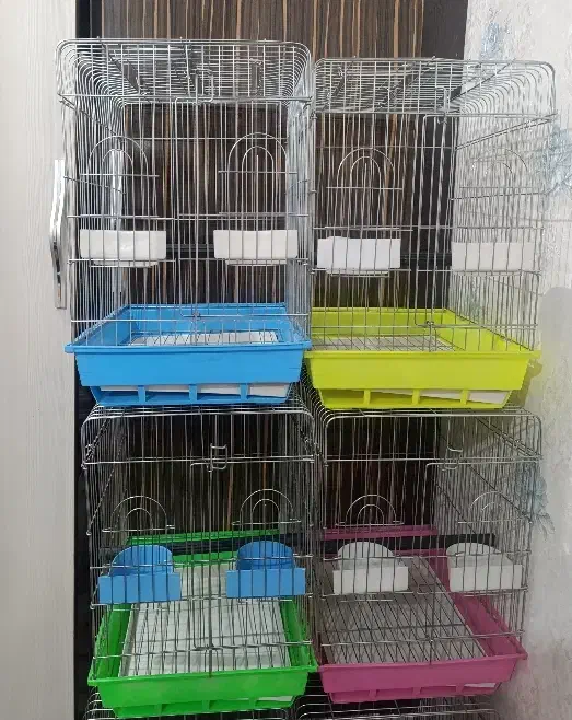 قفس کاسکویی کفی رنگی مدل ۱۰۳۲ نو نو نو|لوازم جانبی حیوانات|اهواز, مجاهد|دیوار