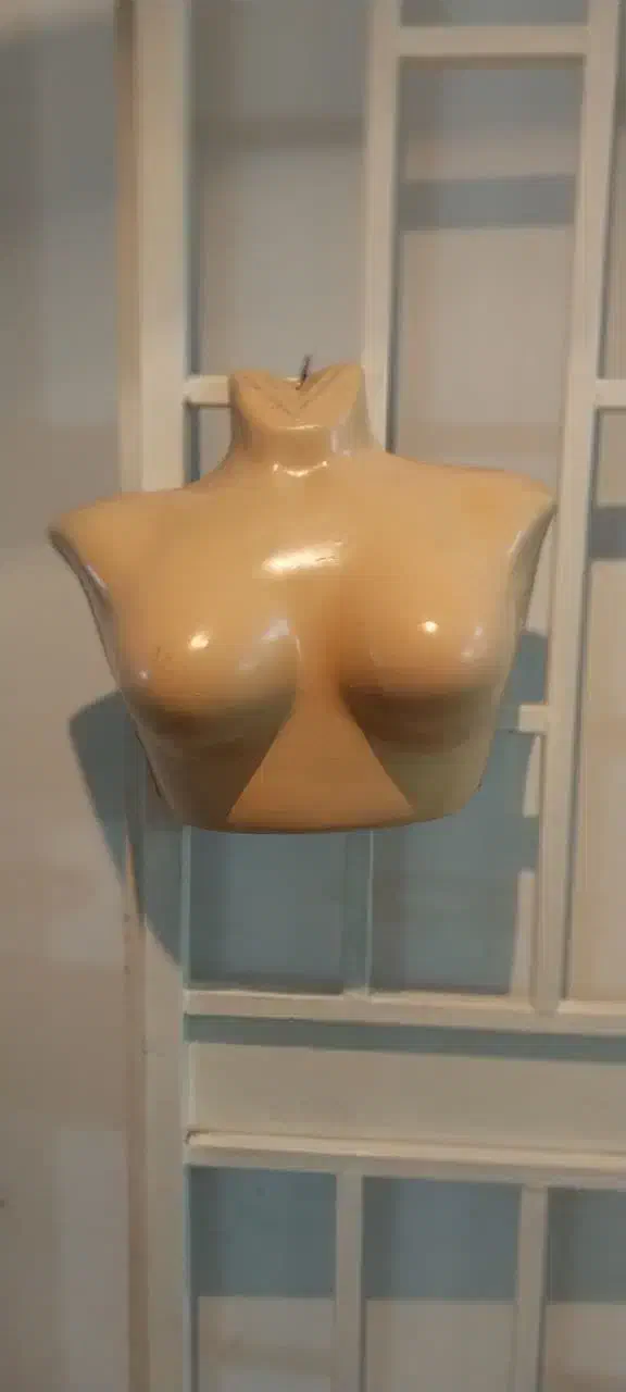 مانکن|حراج|مشهد, استاد یوسفی (شهرک غرب)|دیوار