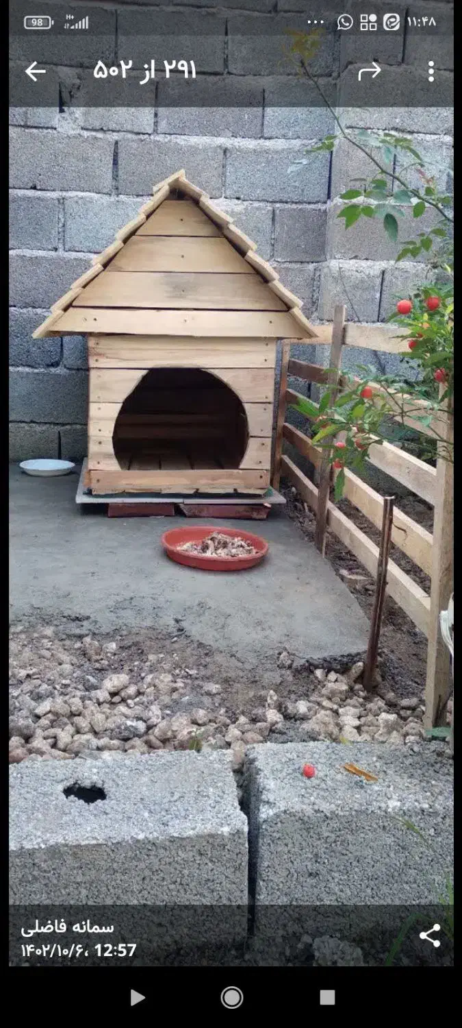 لانه سگ|لوازم جانبی حیوانات|شیرود, |دیوار