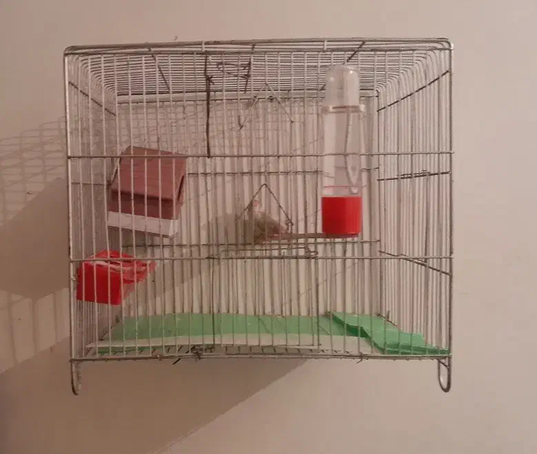 فروش قفس|لوازم جانبی حیوانات|اردستان, |دیوار