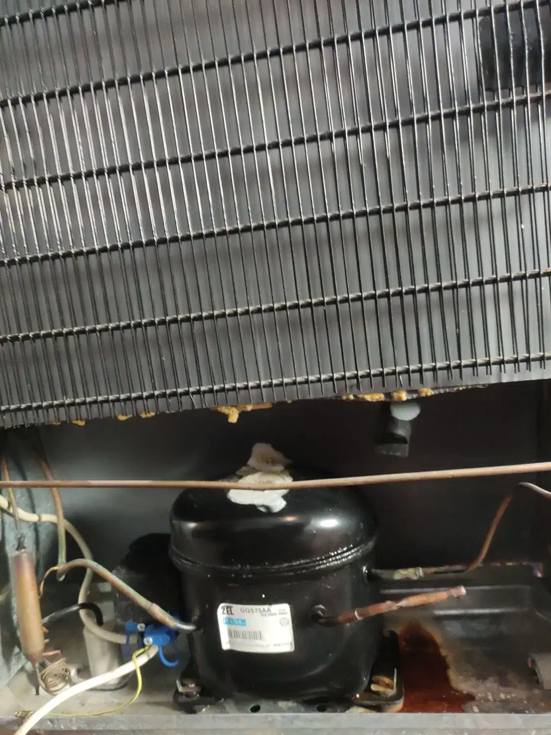 یخچال فریزر اسنوا|یخچال و فریزر|مشهد, رضاشهر|دیوار