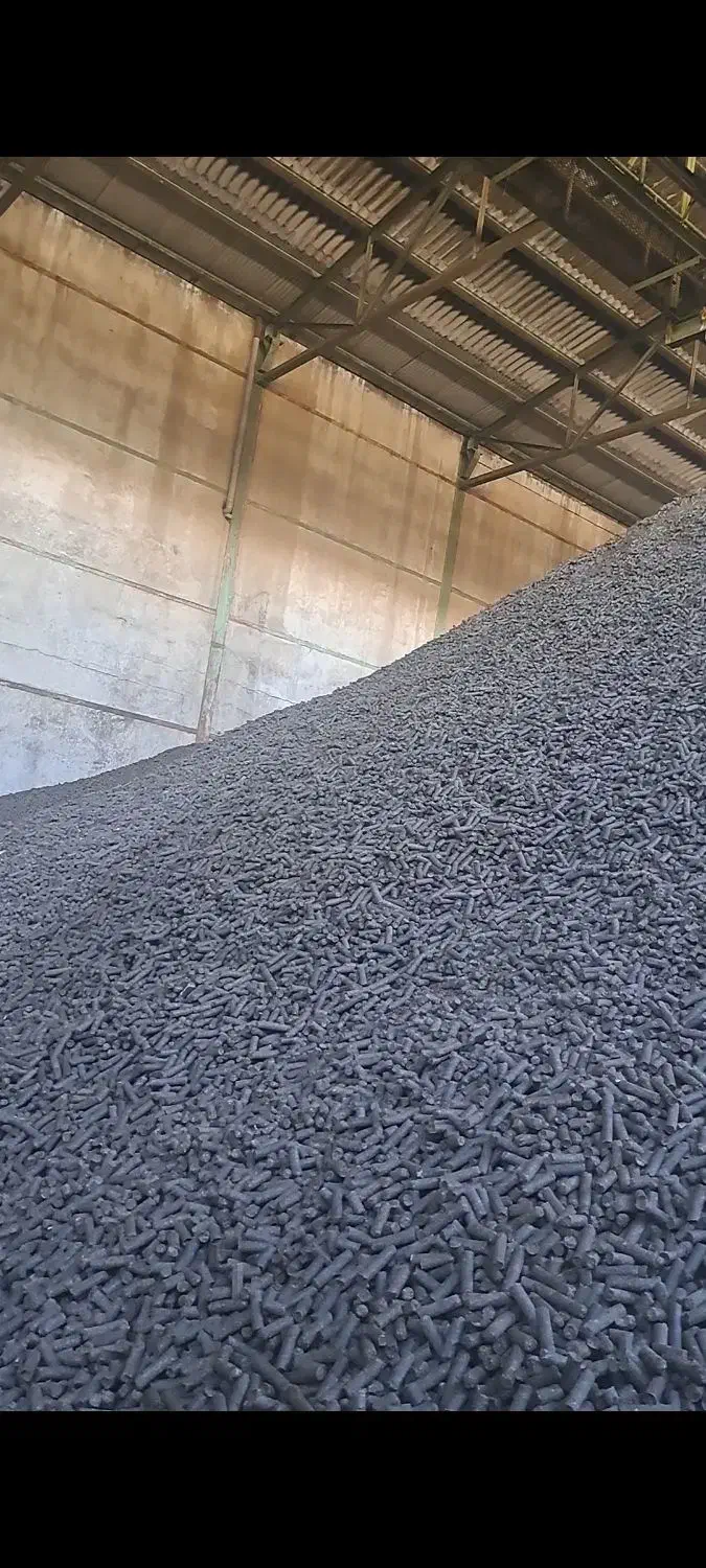 تفاله چغندرخشک فشنگی وتر بارطوبت کم باقیمت منصفانه|لوازم جانبی حیوانات|میاندوآب, |دیوار