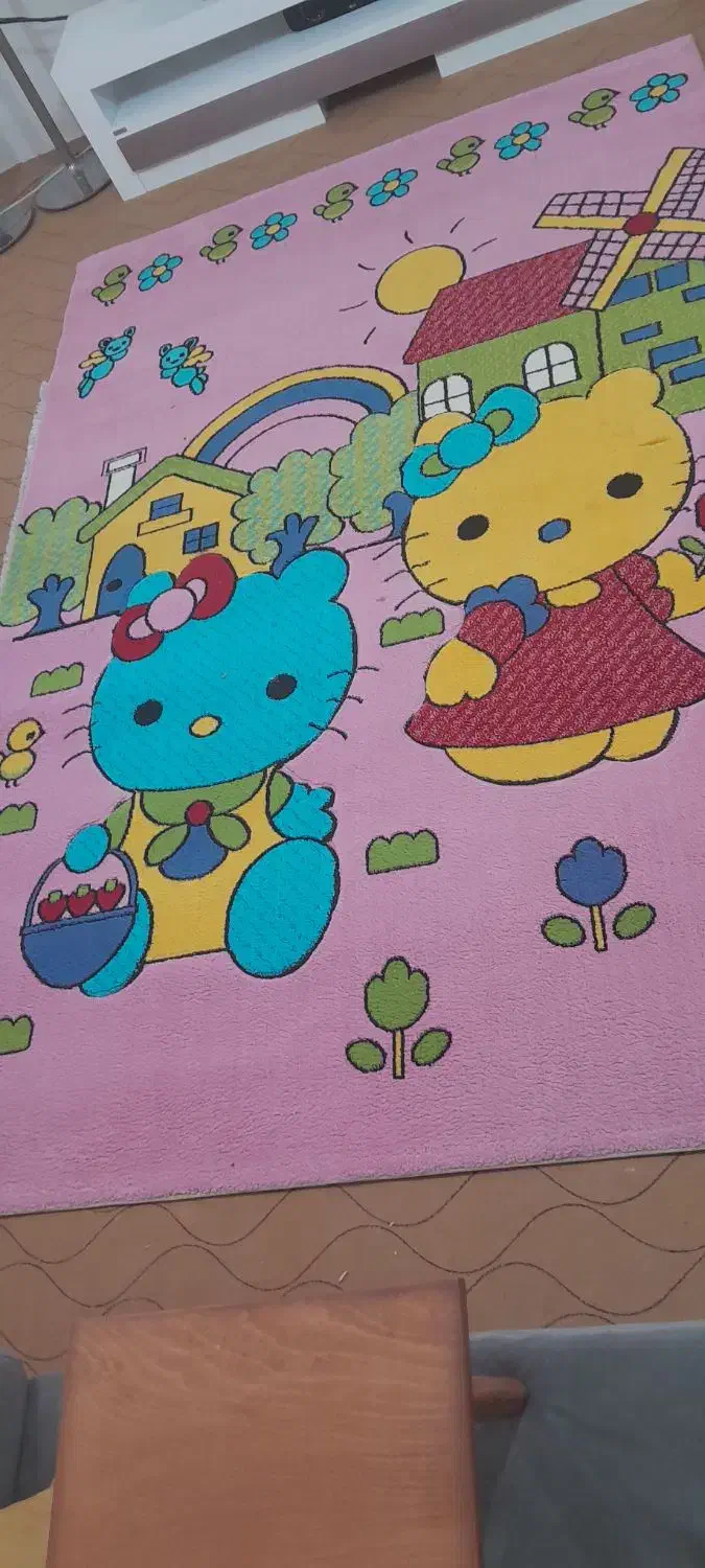 دو گلیم فرش 6 متری و 4 متری|گلیم، جاجیم، گبه|بندرعباس, |دیوار