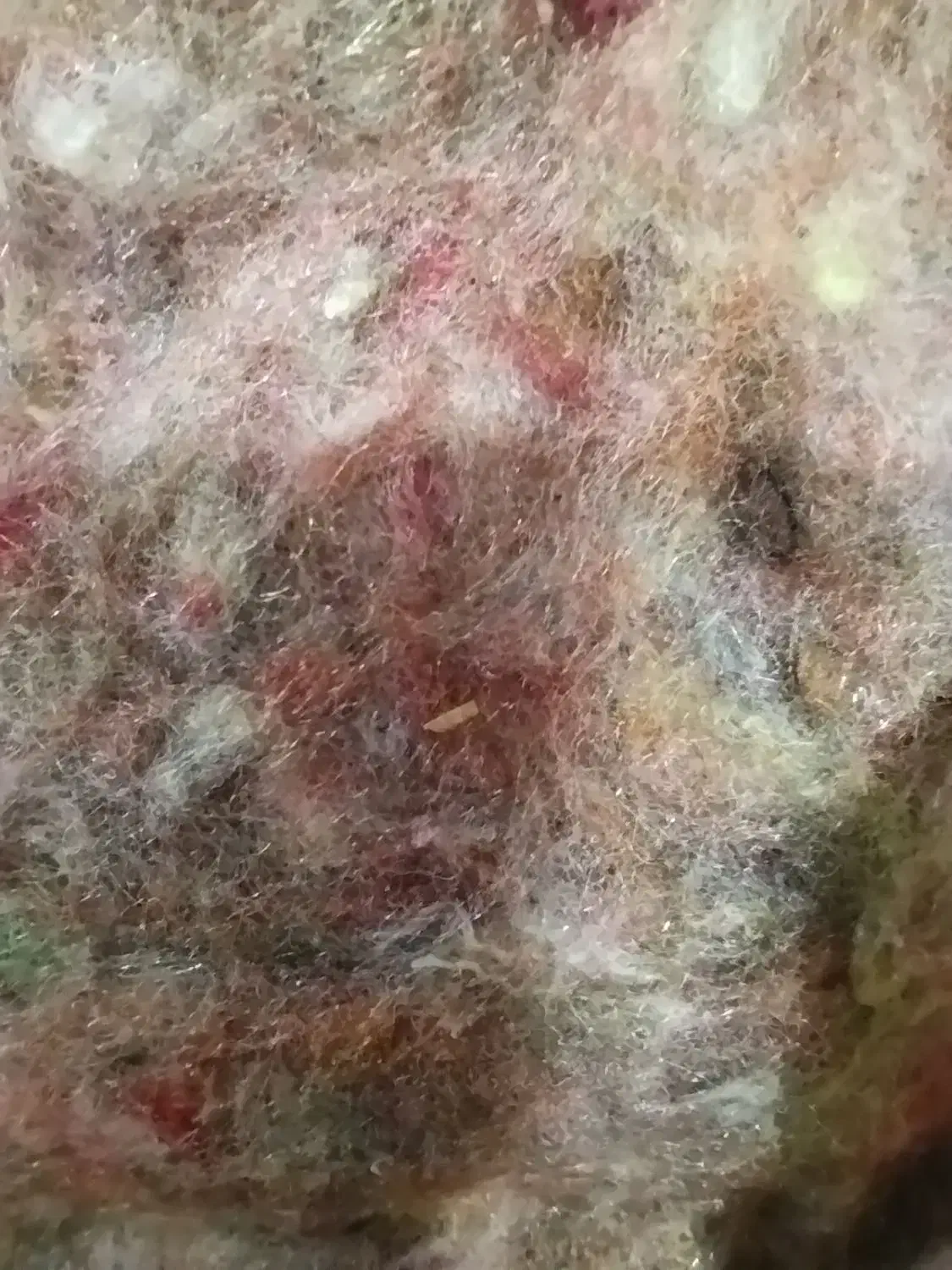 بار تشک|تشک تختخواب|نیشابور, ابراهیمی|دیوار