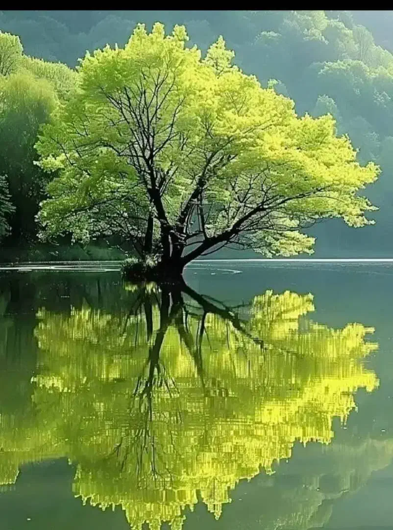 ۸۰ متری شهرک پیام|اجارهٔ آپارتمان|محمدشهر, شهرک پیام (مهرالبرز)|دیوار