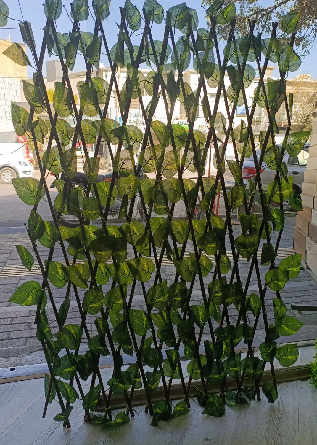 آکاردئون برگی|گل مصنوعی|شیراز, اصلاح‌نژاد|دیوار