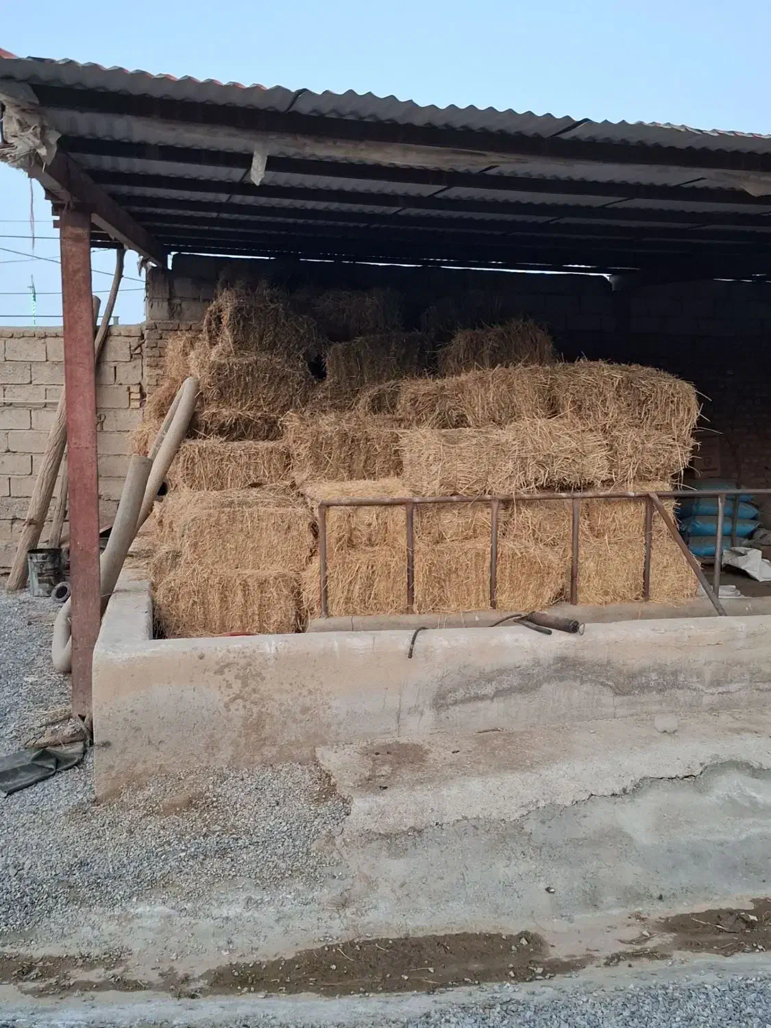 ینجه چین دوم سوم|خدمات باغبانی و درختکاری|بکتاش, |دیوار