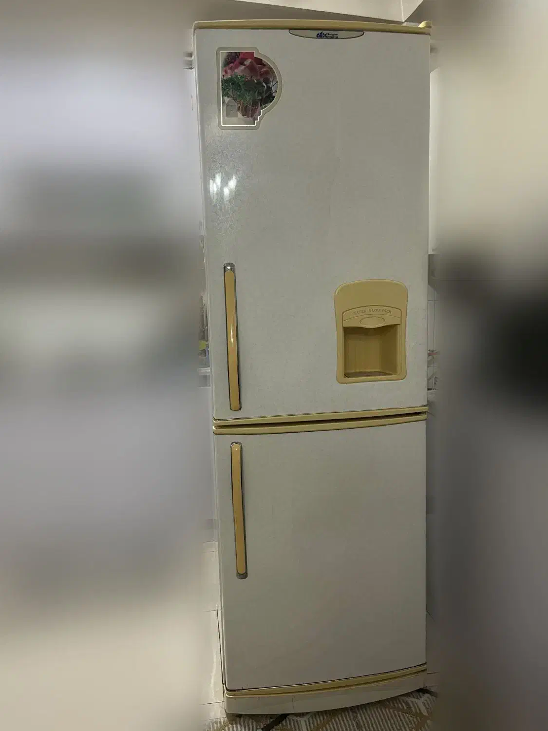 یخچال فریزر هیمالیا|یخچال و فریزر|رشت, فلسطین|دیوار