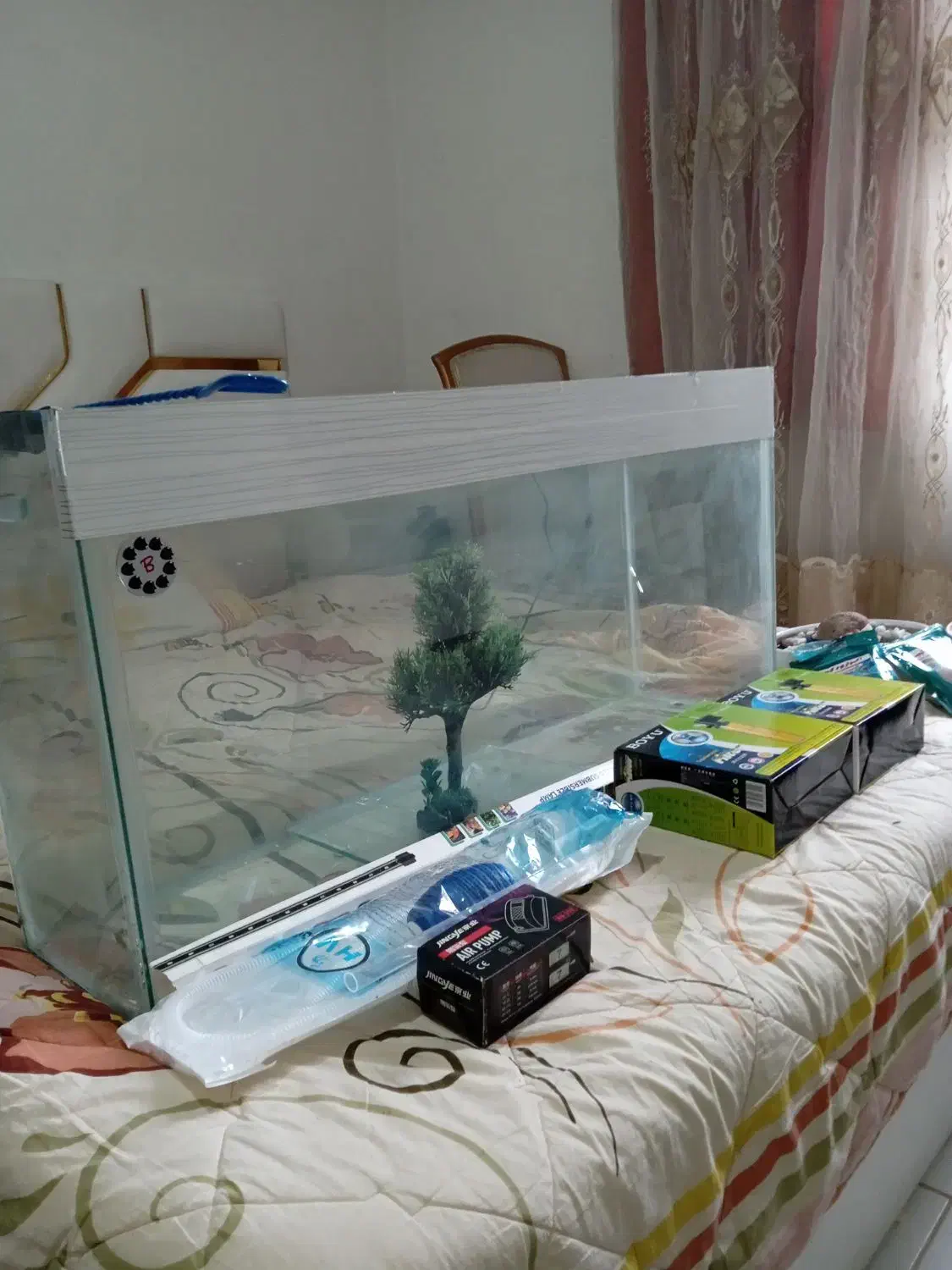 آکواریوم|ماهی|پرند, فاز ۶|دیوار