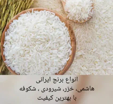 برنج های هاشمی ،فجر ،شبرودی|خوردنی و آشامیدنی|تهران, هروی|دیوار