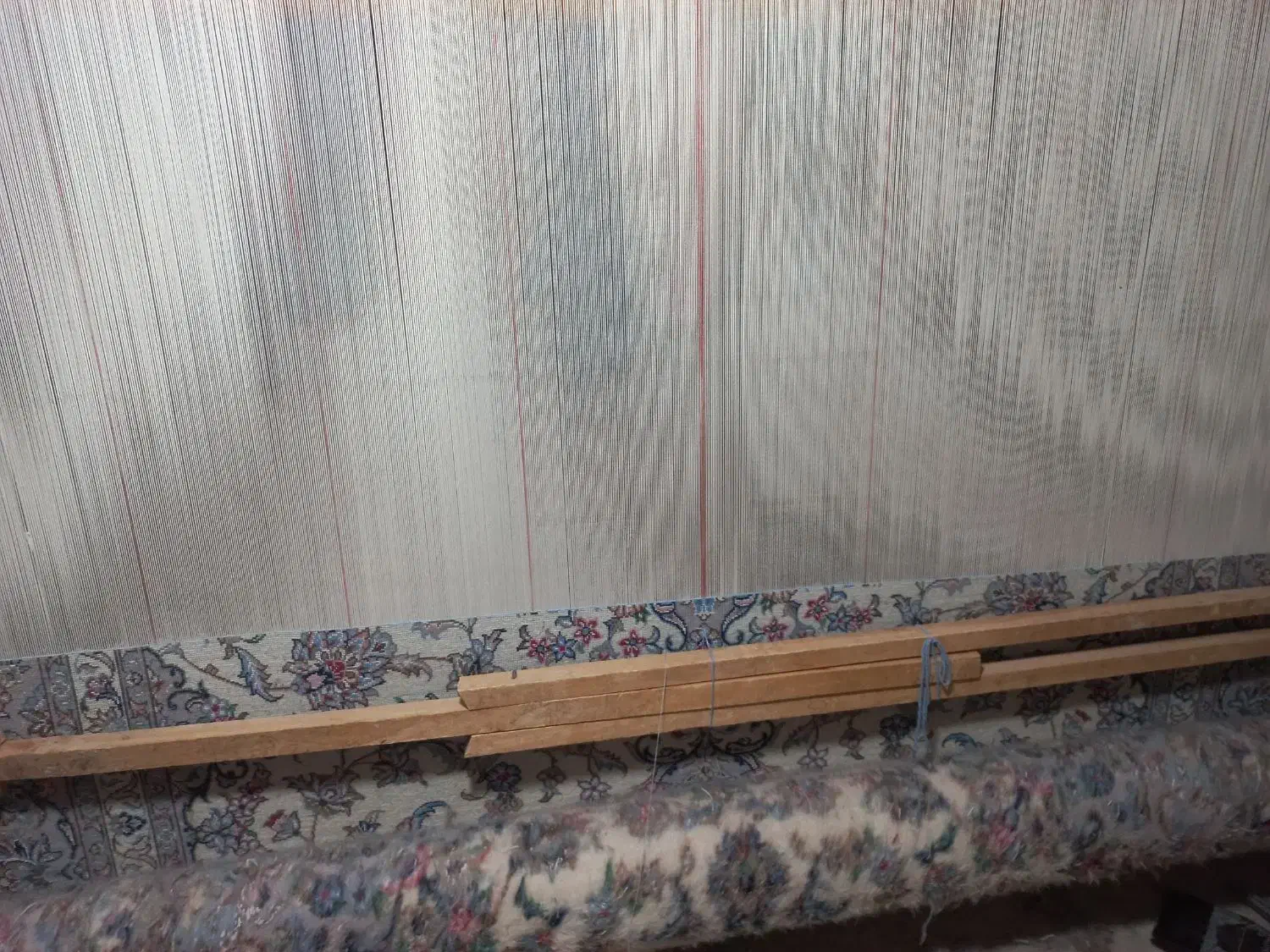 قالی دستبافت نیمه کاره|فرش|یزد, |دیوار