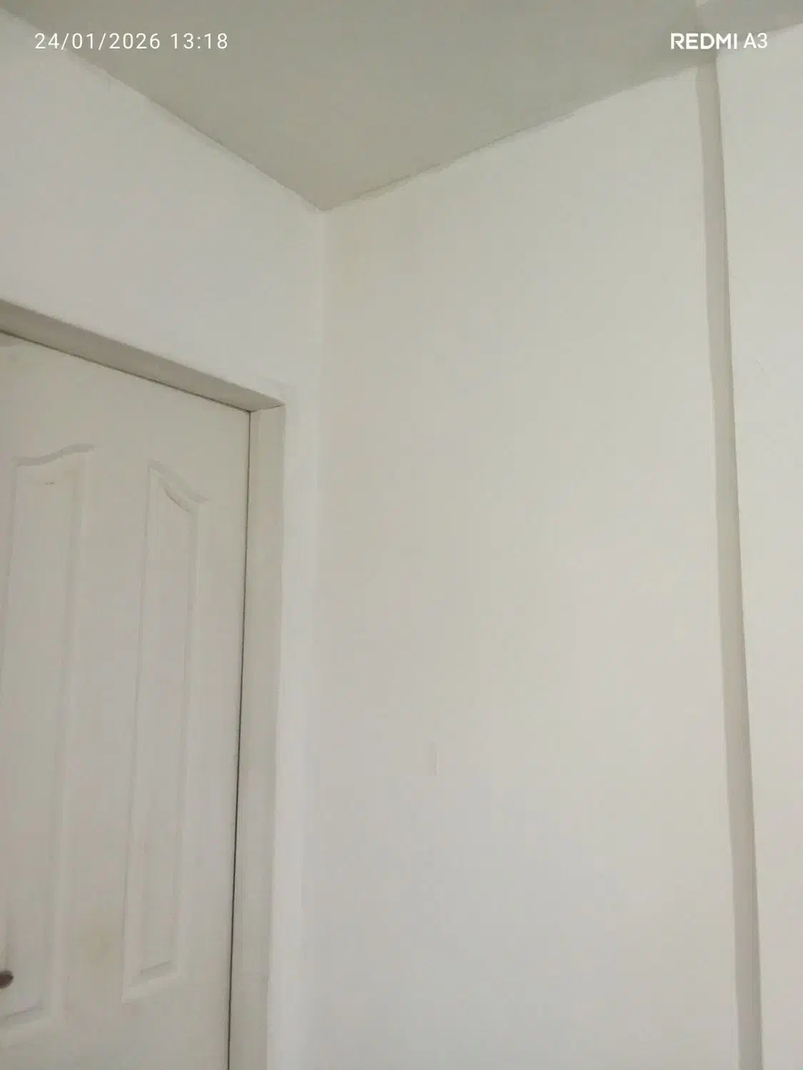 گچکاری و پرداخت|استخدام معماری، عمران و ساختمانی|مشکین‌دشت, |دیوار