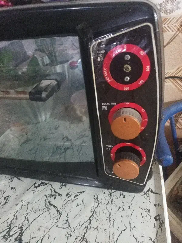 توستر نوین|اجاق گاز و لوازم برقی پخت‌وپز|علی‌آباد کتول, |دیوار