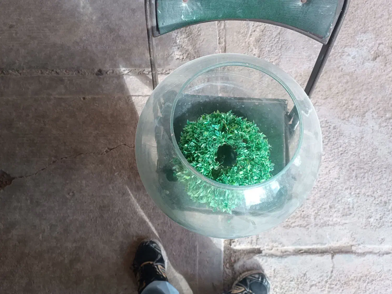 تنک ماهی|ماهی|تبریز, |دیوار