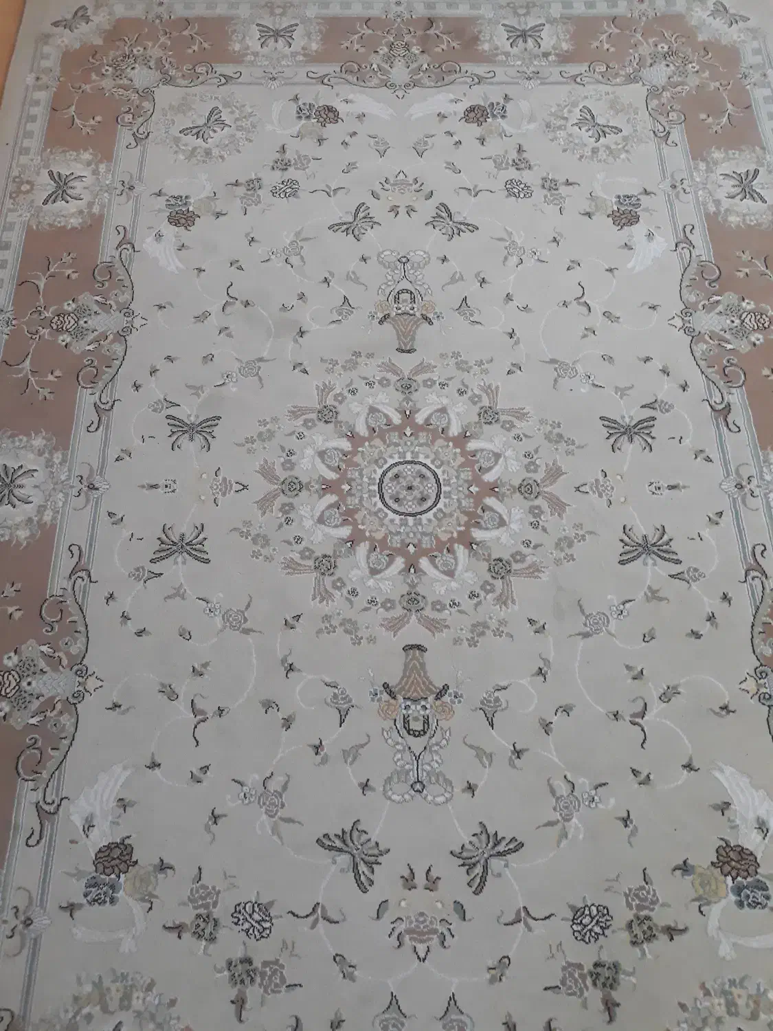 فرش 9متری|فرش|رشت, جانبازان|دیوار