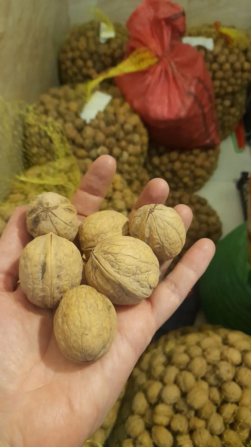 گردو|خوردنی و آشامیدنی|تهران, اتحاد|دیوار