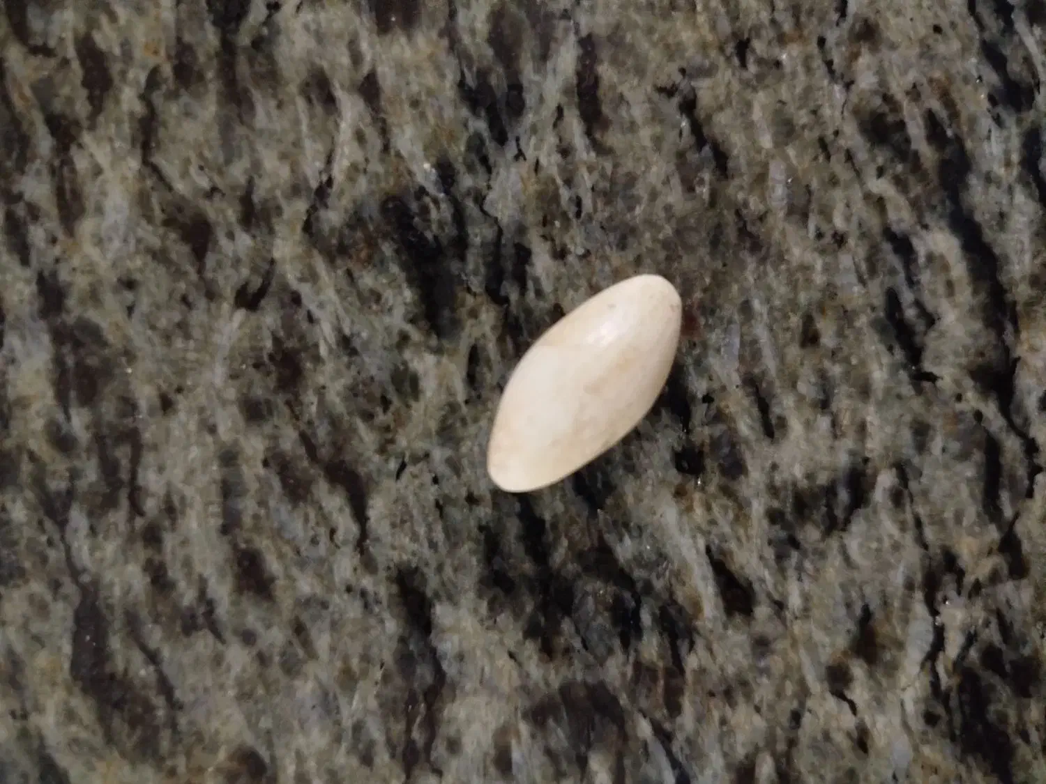 مهره اصلی|جواهرات|زابل, |دیوار