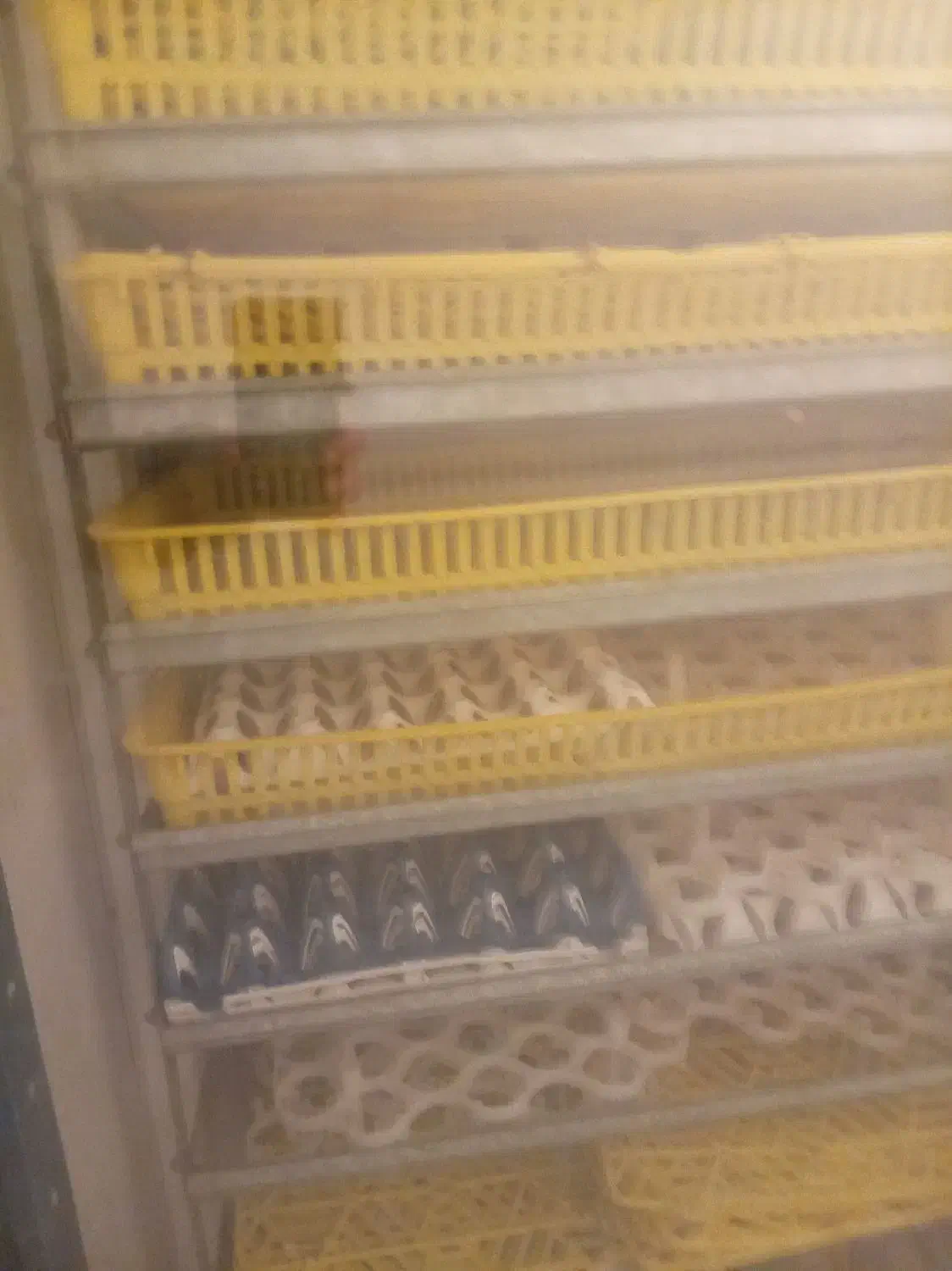 دستگاه جوجه کشی|لوازم جانبی حیوانات|قم, امامزاده ابراهیم|دیوار