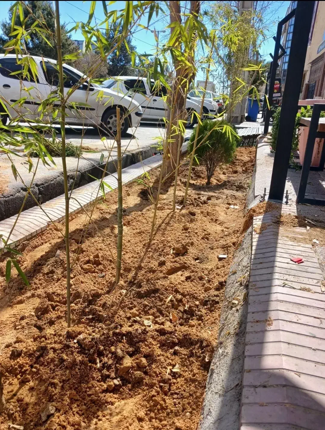 خاک باغچه درجه 1مخصوص باغچه ودرختکاری بانیسان|خدمات باغبانی و درختکاری|زاهدان, |دیوار