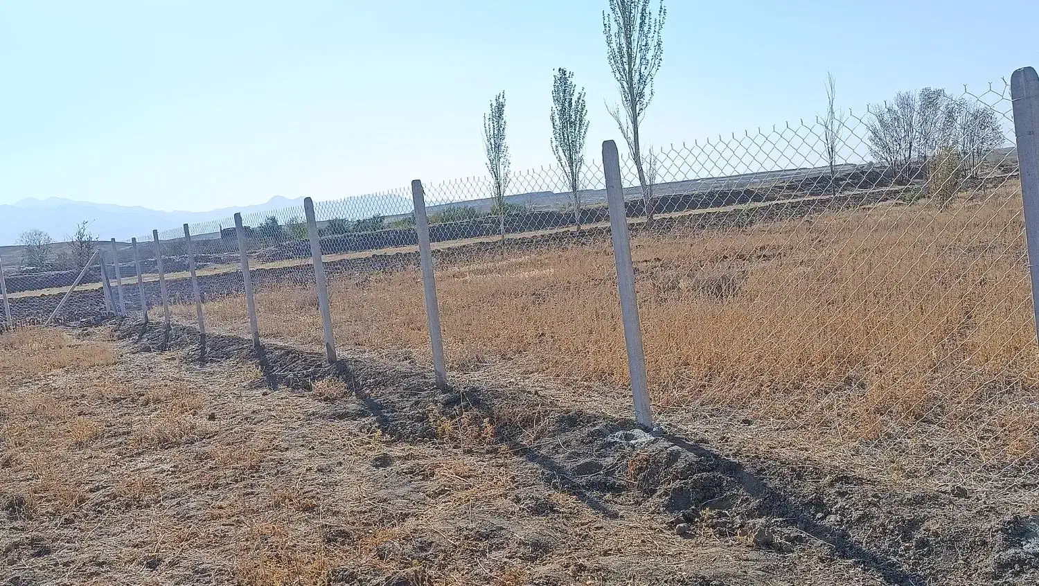 فنس کشی تمومی ارگان های دولتی و شخصی زیر قیمت|خدمات باغبانی و درختکاری|رباطکریم, رباطکریم|دیوار