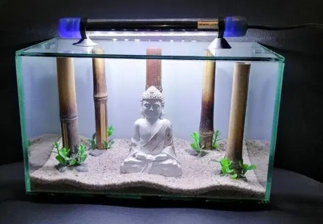 آکواریوم فایتر|ماهی|تهران, توحید|دیوار