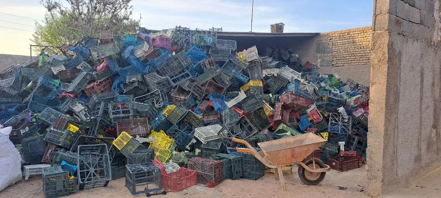 سبدمیوه جعبه کارتن موزی|عمدهفروشی|ورامین, جعفر آباد اخوان|دیوار