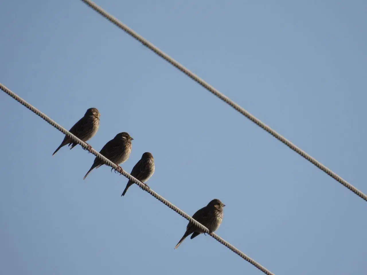 مشاوره وام|فعالیت داوطلبانه تحقیقاتی|اصفهان, چرخاب|دیوار