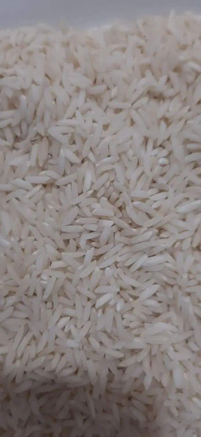 برنج هاشمی درجه یک|خوردنی و آشامیدنی|زیباکنار, |دیوار