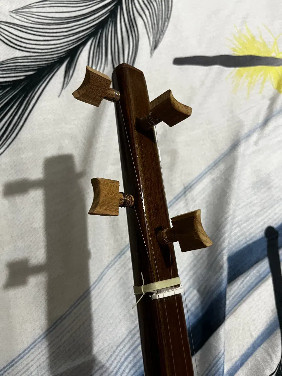 سه تار نو + کیس|سازهای سنتی|آمل, |دیوار