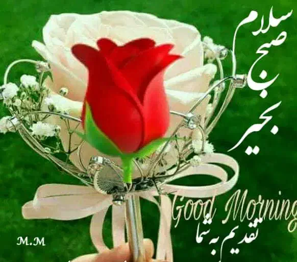 حس برتر تدریس ابتدایی ومتوسطه اول|خدمات آموزشی|گرگان, |دیوار