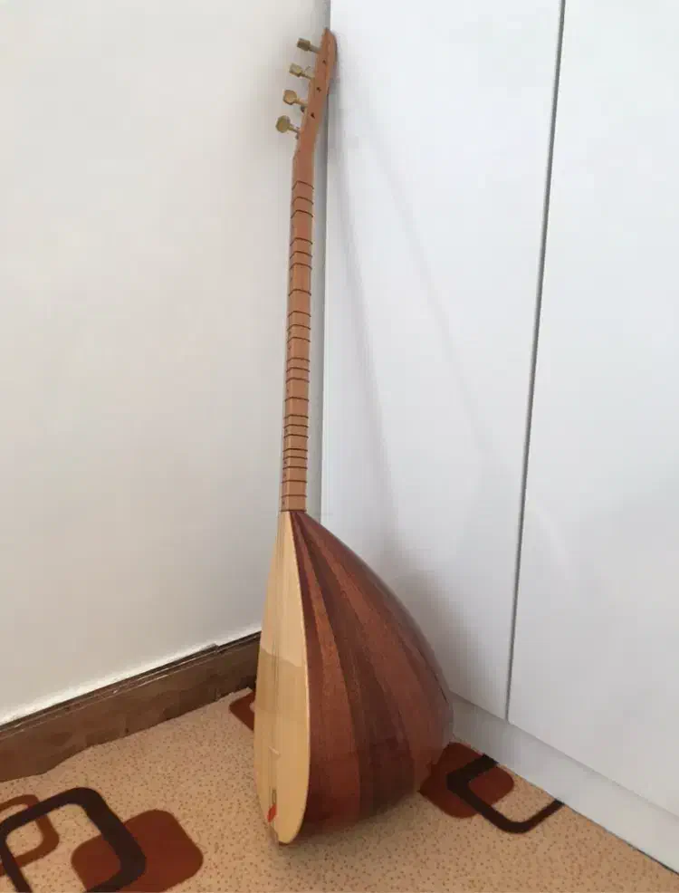 ساز دیوان مارک الیاسی در حد سفر|سازهای سنتی|مهاباد (آذربایجان غربی), |دیوار