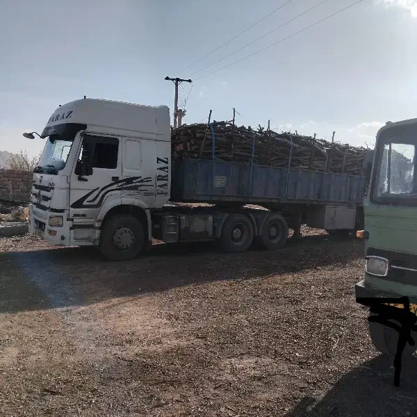 خرید چوب و هیزم باغی.|خدمات باغبانی و درختکاری|شاهرود, |دیوار