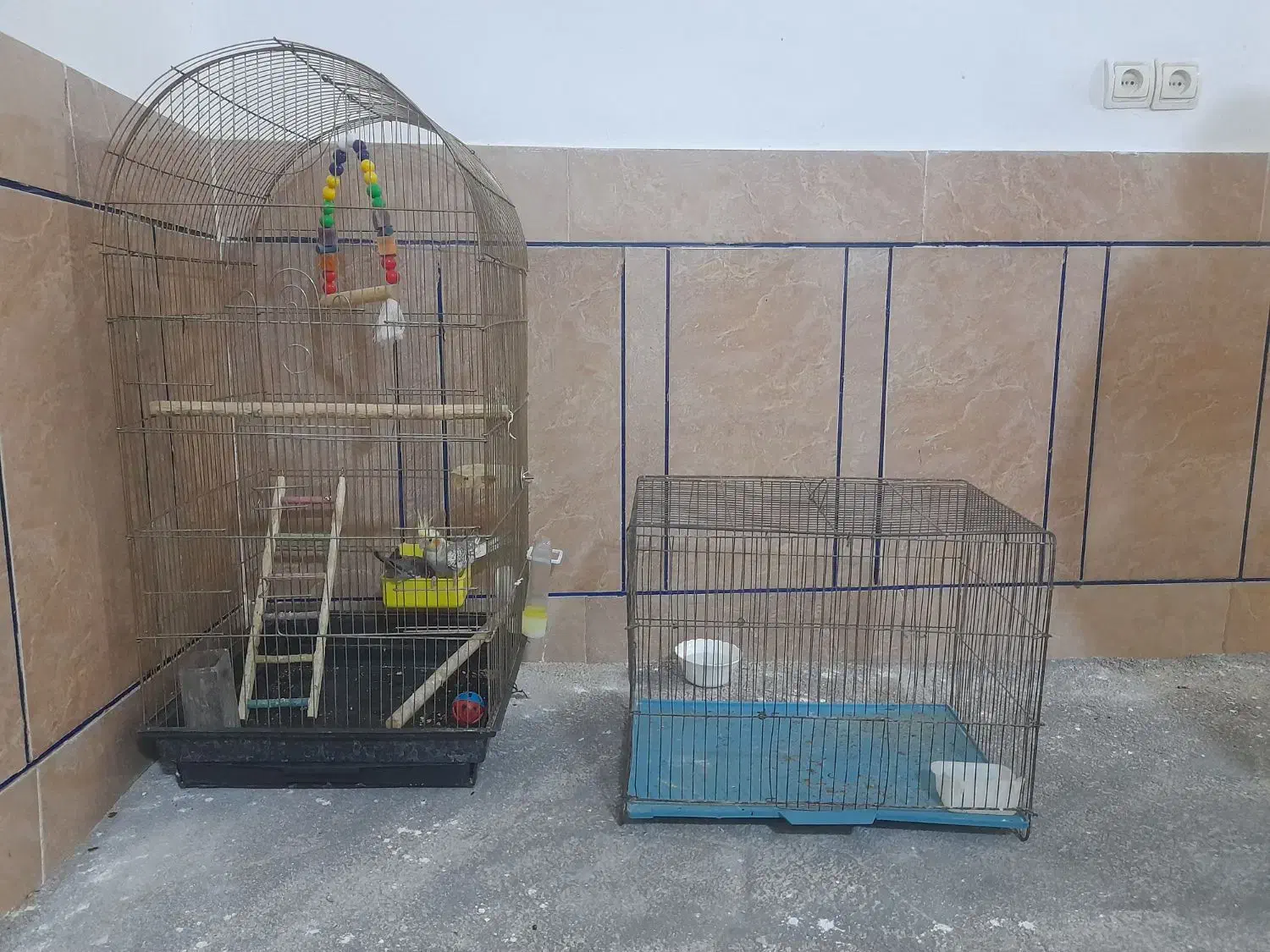 دوتا قفس|لوازم جانبی حیوانات|دره شهر, |دیوار