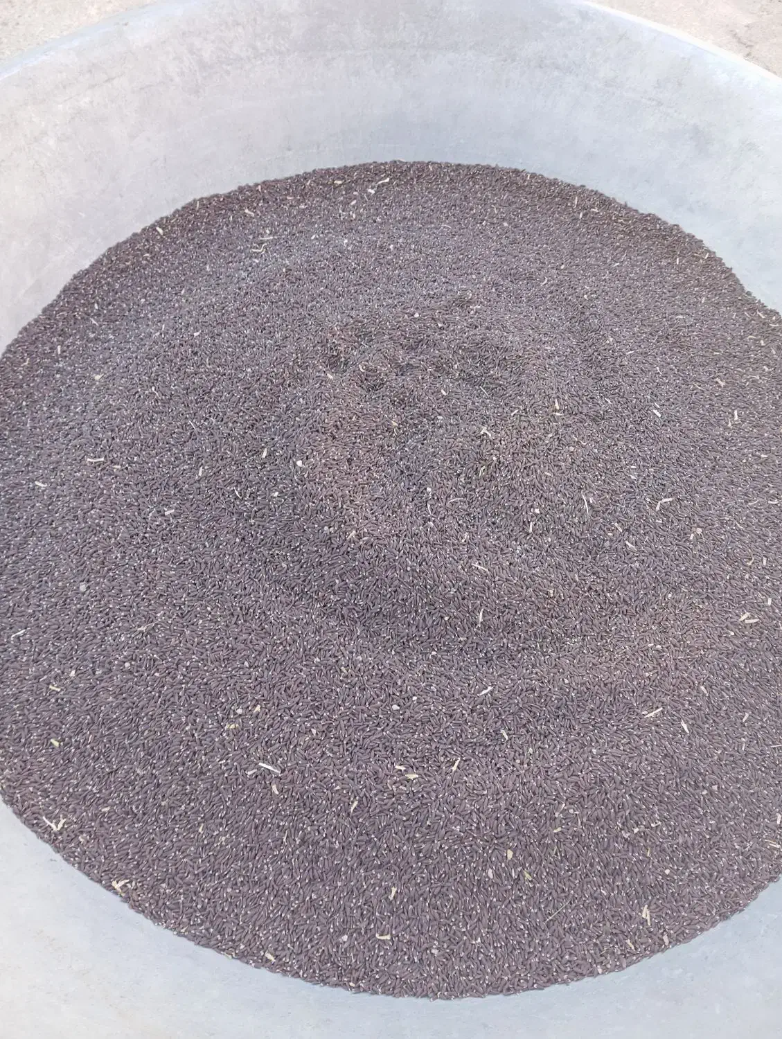 کنجد سیاه|خوردنی و آشامیدنی|فیروزآباد (لرستان), |دیوار