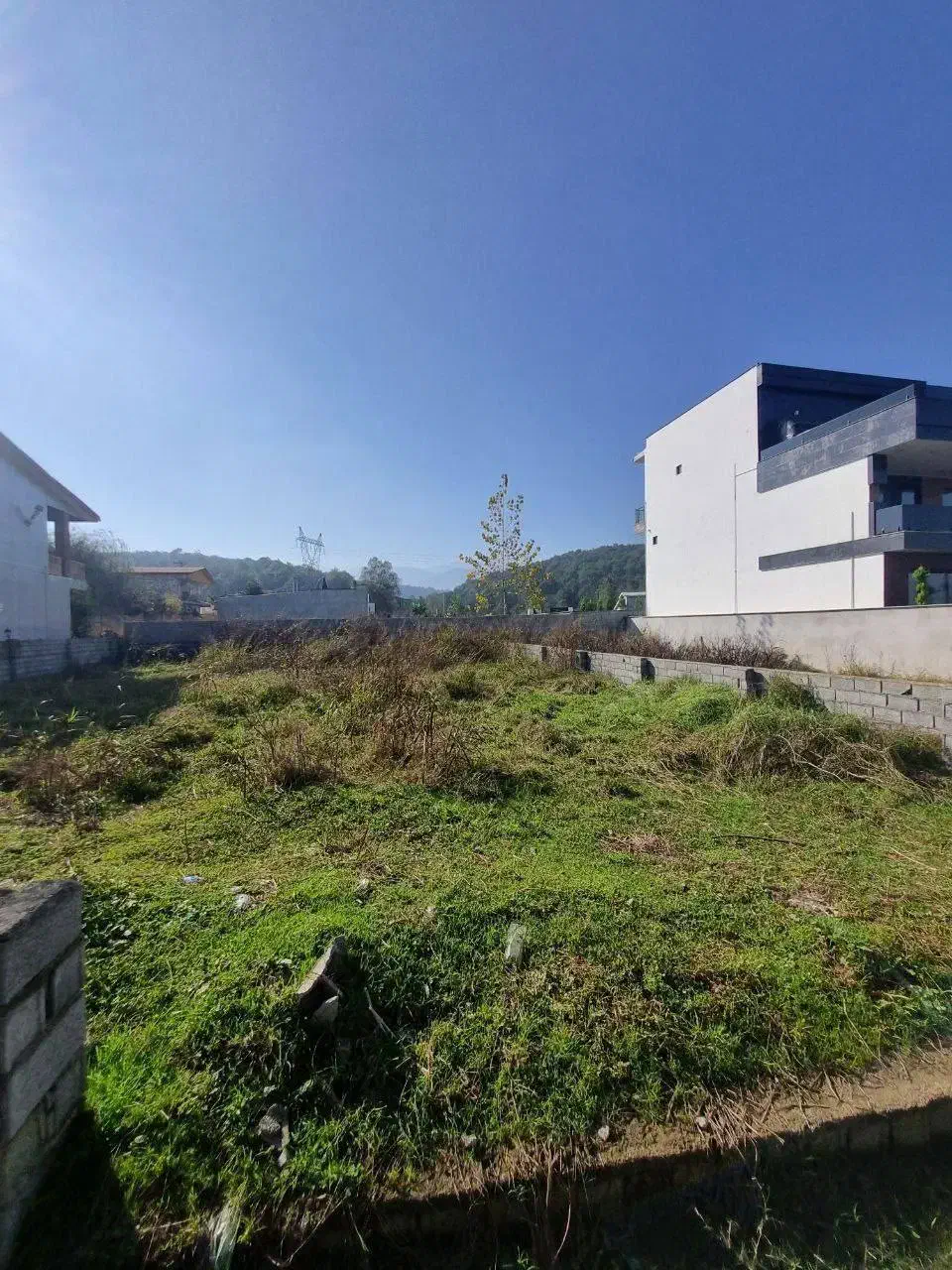 فروش زمین با ویوی جنگل کد ۱۰۸۸|فروش زمین و ملک کلنگی|چمستان, |دیوار