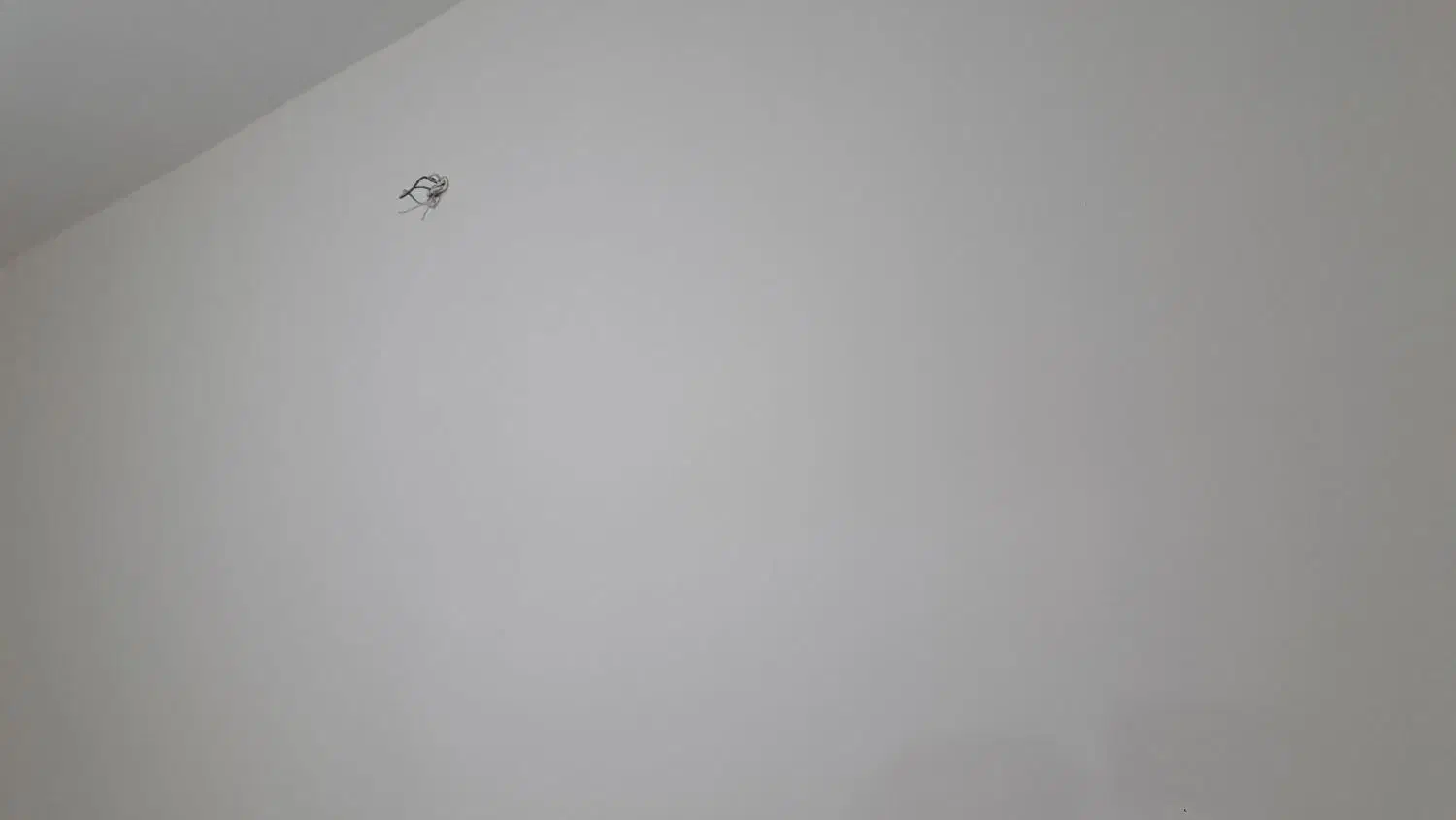 اجاره خانه مسکونی|اجارهٔ خانه و ویلا|دشتابی, |دیوار