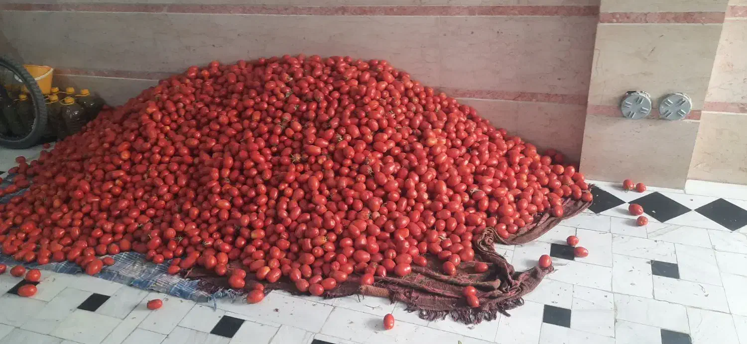 گوجه ربی همدان ارسال هر روزه پاسخگوی ۲۴ساعته|خوردنی و آشامیدنی|قم, علی آباد|دیوار