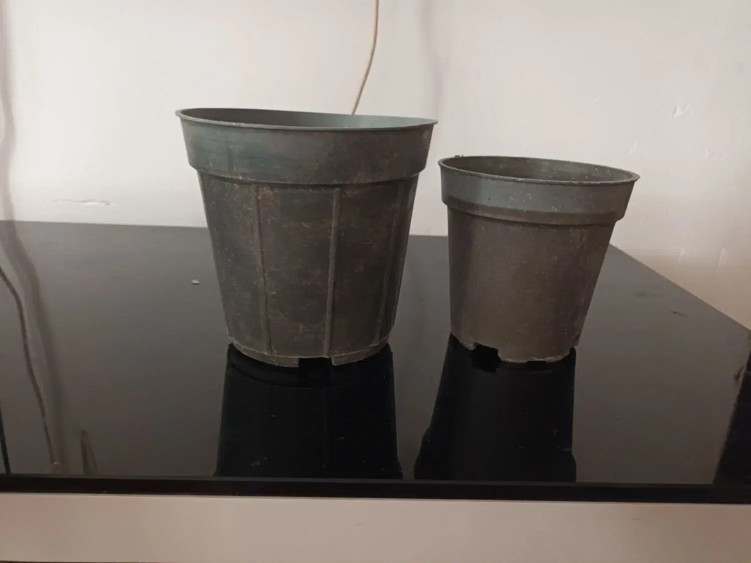 گلدان|گل و گیاه طبیعی|سراب, |دیوار