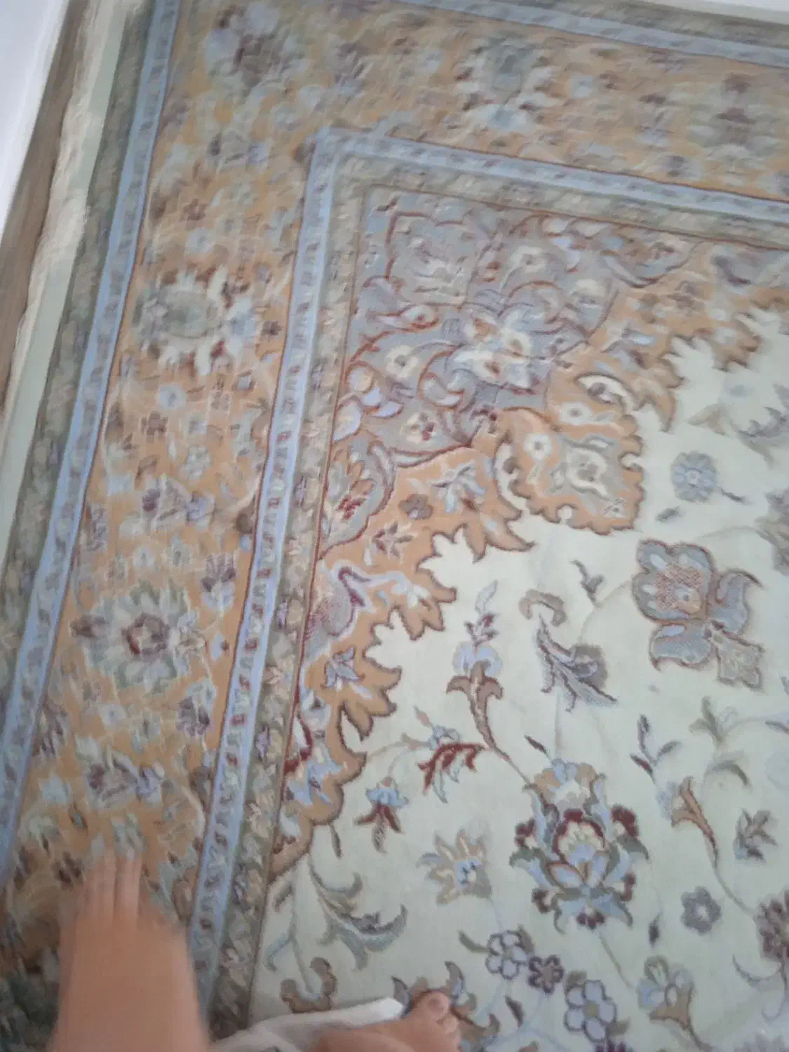 فرش ماشینی تمیز|فرش|گنبد کاووس, |دیوار