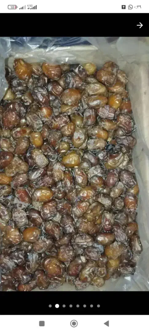 شندشکن با رنگو دارم خراج|خوردنی و آشامیدنی|سراوان, |دیوار