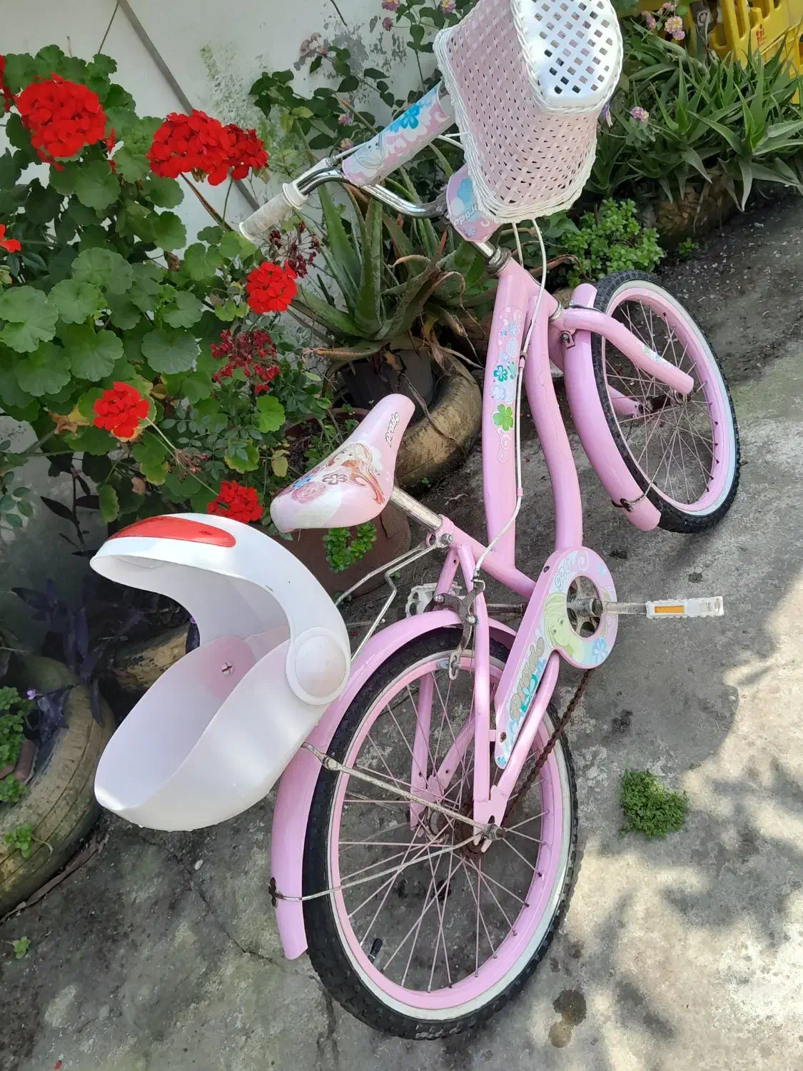 دوچرخه دخترانه|دوچرخه، اسکیت، اسکوتر|بندر انزلی, میان پشته|دیوار