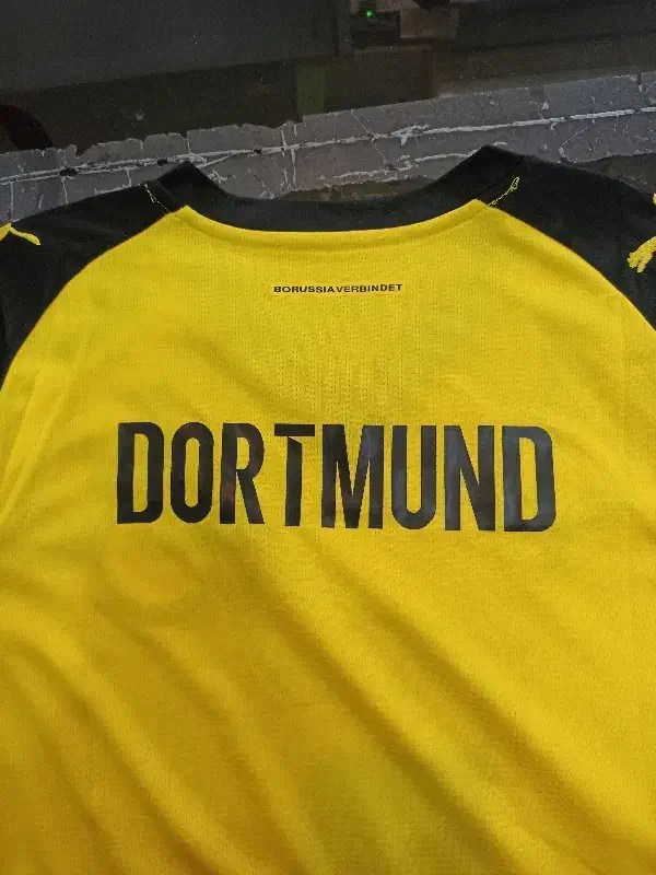 تیشرت ورزشی|لباس|ساری, |دیوار