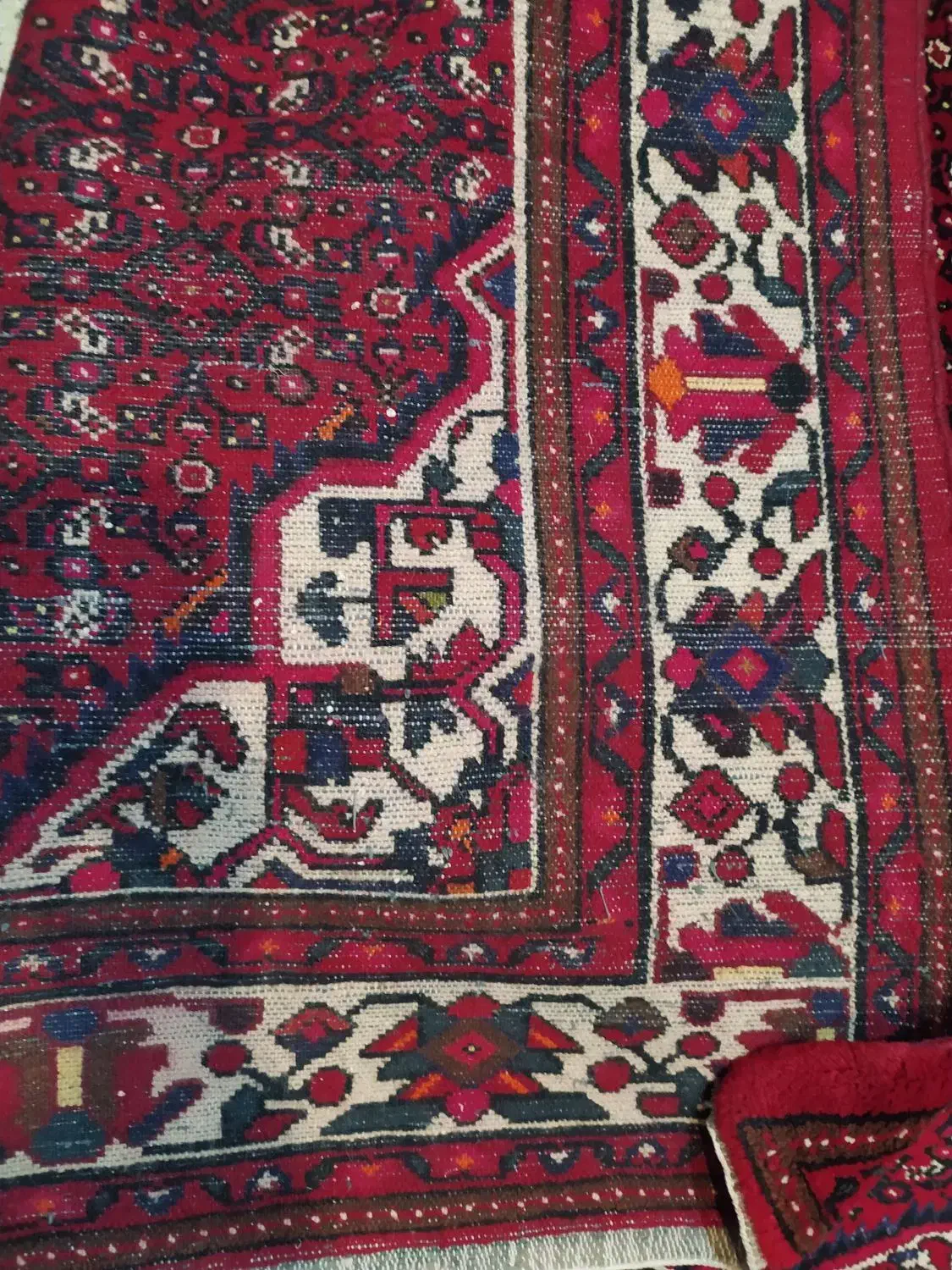 6متری ازندریان|فرش|همدان, |دیوار