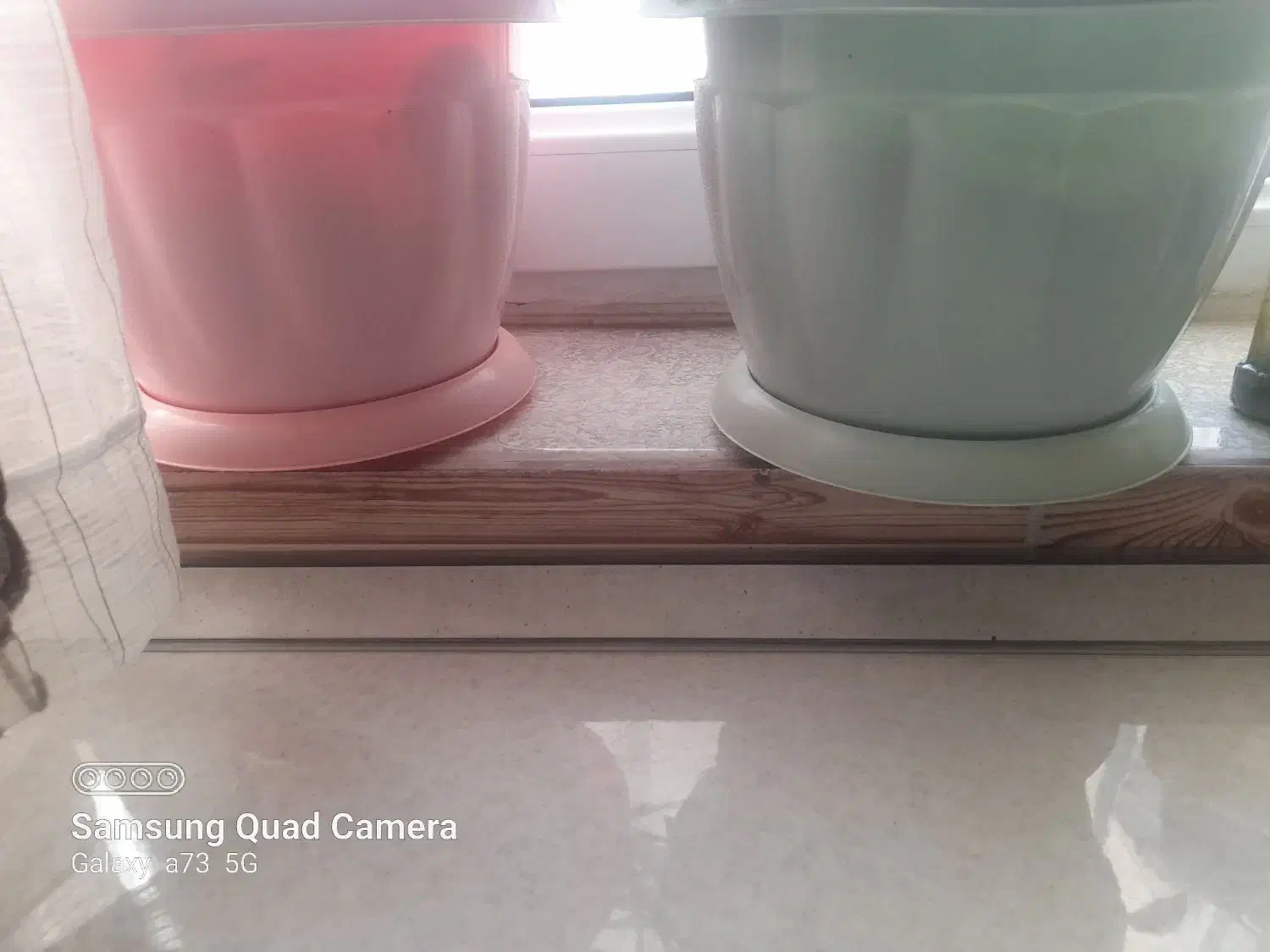 گلدان و ظرف|ظروف نگهدارنده، پلاستیکی، یکبارمصرف|شیروان (خراسان), |دیوار