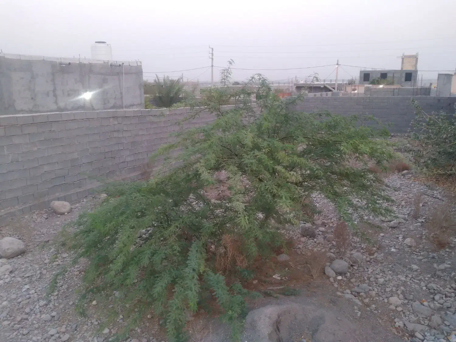 زمین تخت۲۵۳متر|فروش زمین و ملک کلنگی|تخت, |دیوار