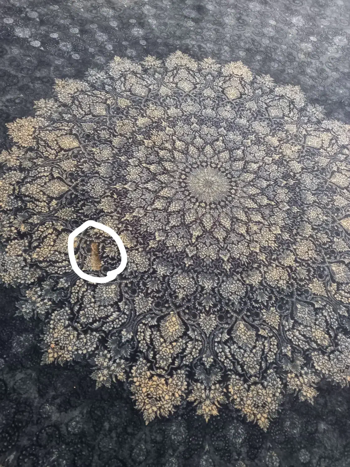 فرش ۶متری|فرش|محمدشهر, شهرک پیام (مهرالبرز)|دیوار