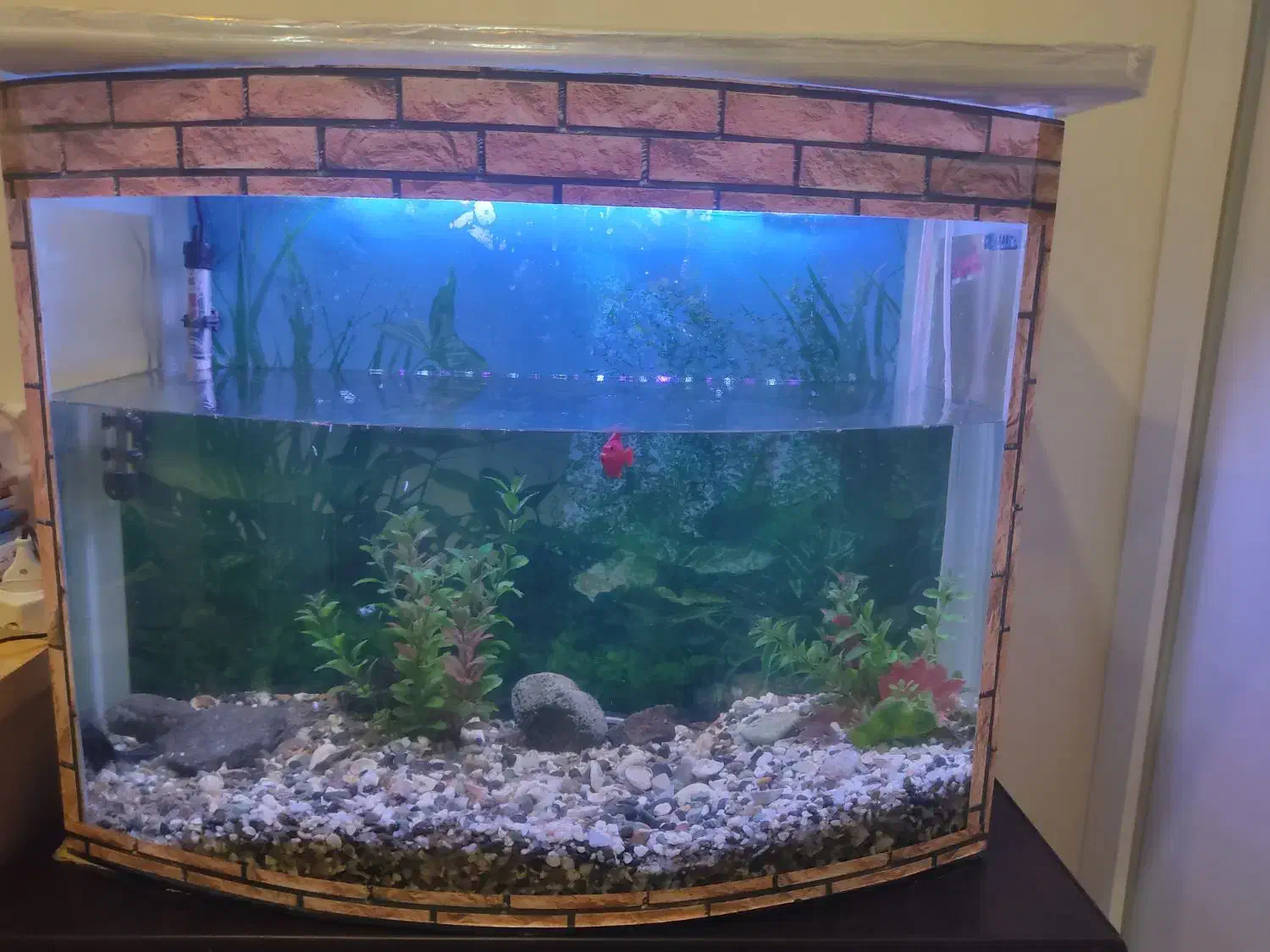 آکواریوم بزرگ شیشه خم|ماهی|اندیشه, اندیشه فاز ۱|دیوار