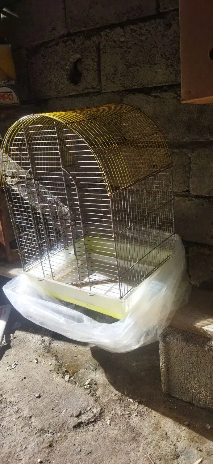 قفس پرنده سایز بزرگ|لوازم جانبی حیوانات|تنکابن, |دیوار