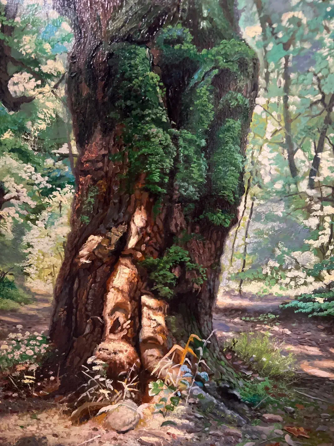 تابلوی رنگ روغن|تابلو، نقاشی، عکس|تهران, شهرک مخابرات|دیوار